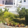 Construção De Jardim