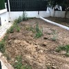 Construção De Jardim