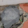Valor para sistema circulação de água de piscina
