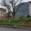 Poda Ou Remoção De árvore E Arbusto