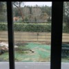Construir Jardim
