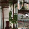 Instalação De Pérgolas