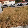 Nivelamento De Terreno