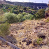 Limpeza De Terreno