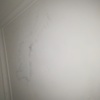 Pintar Casa