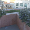 Manutenção De Jardim