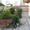 Construção De Jardim