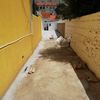 Remodelar Casa